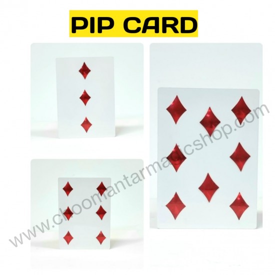 MAGNETIC PIP CARD{PC} GIANT