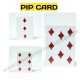 MAGNETIC PIP CARD{PC} GIANT