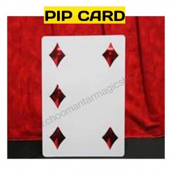 MAGNETIC PIP CARD{PC} GIANT