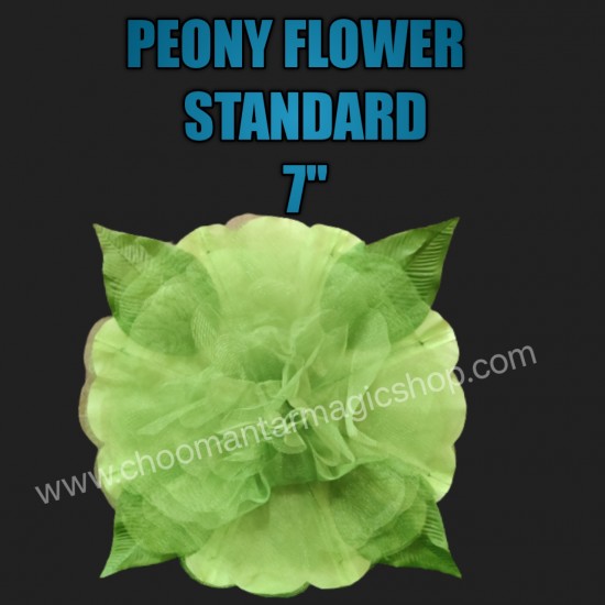 PEONY PRODUCTION {STANDERD) SMALL 7" Aquamarine Green