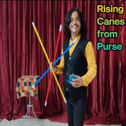 RISING CANES FROM PURSE{MULTICOLOR}