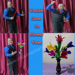 VANISHING CANE TO FLOWER VASE