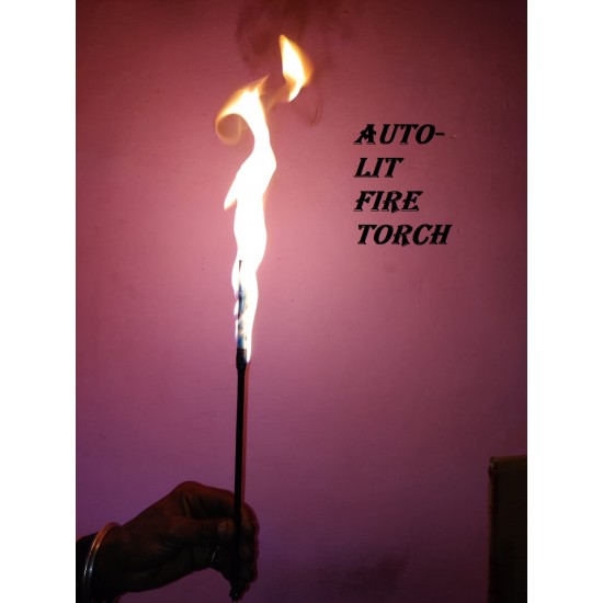 Auto-Lit Fire Torch