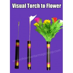 VISUAL FIRE TORCH TO FLOWER BOUQUET